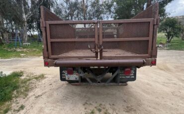 Ford-escape-diesel-1990-brown-3