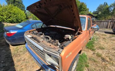 Ford-f-100-1981-brown-1