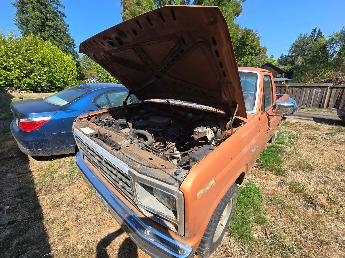 Ford-f-100-1981-brown-1