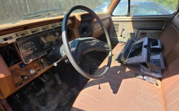 Ford-f-100-1981-brown-2