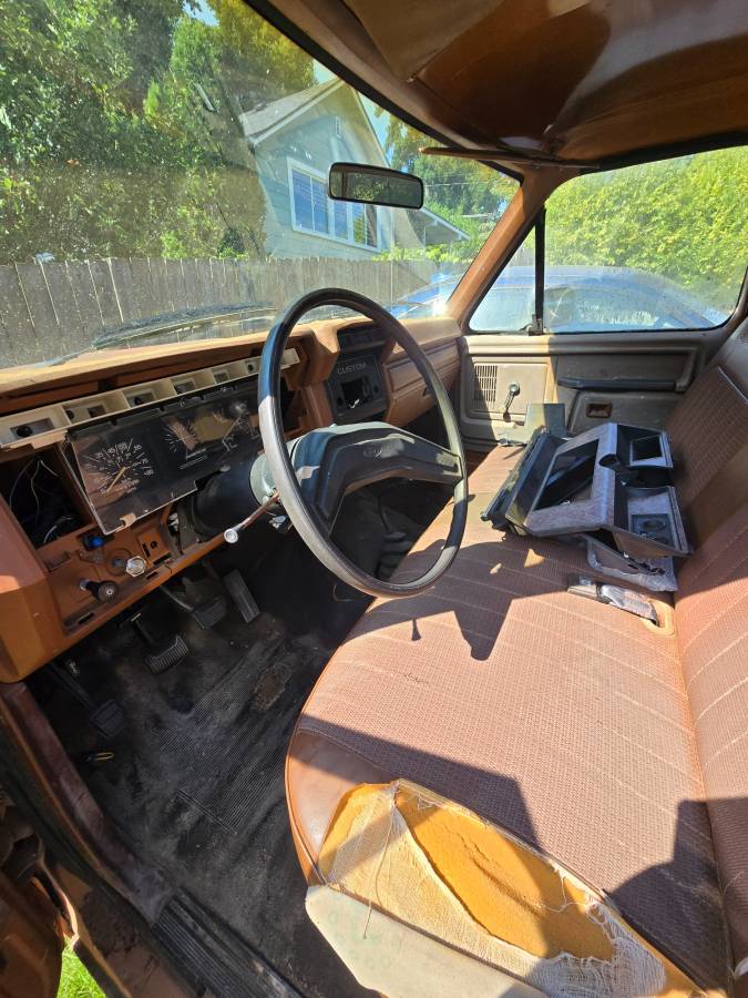 Ford-f-100-1981-brown-2
