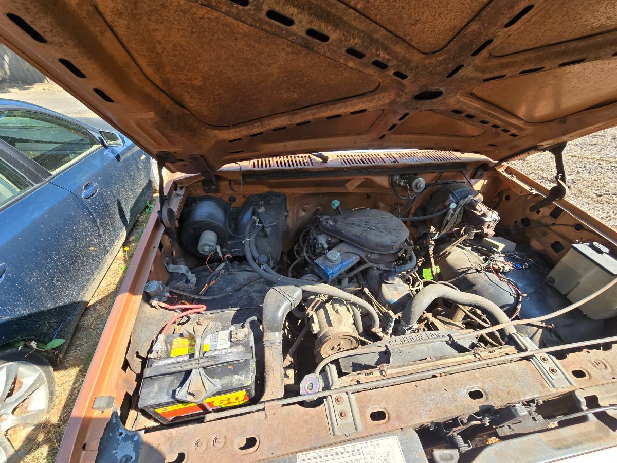 Ford-f-100-1981-brown-3