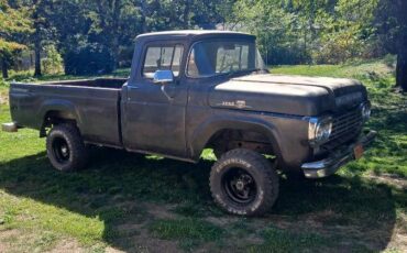Ford-f-150-1959-brown-2