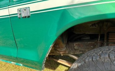 Ford-f-150-1976-20