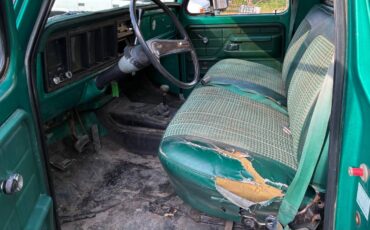 Ford-f-150-1976-6
