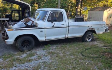 Ford-f-150-1976-white-3