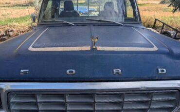Ford-f-150-1978-blue-4