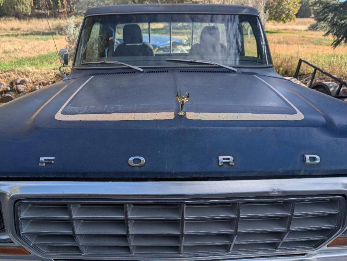 Ford-f-150-1978-blue-4