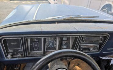 Ford-f-150-1978-blue-5