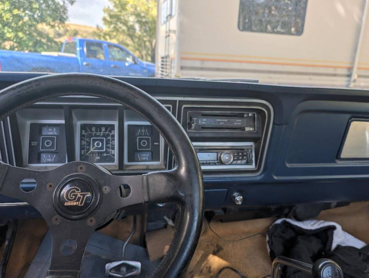 Ford-f-150-1978-blue-6