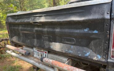 Ford-f-150-1979-black-13