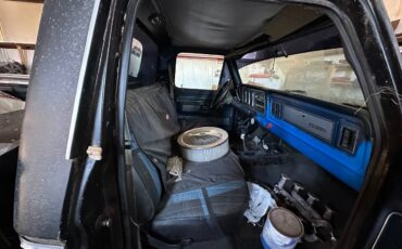 Ford-f-150-1979-black-14