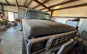 Ford-f-150-1979-black