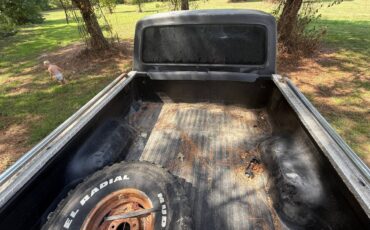 Ford-f-150-1979-black-5