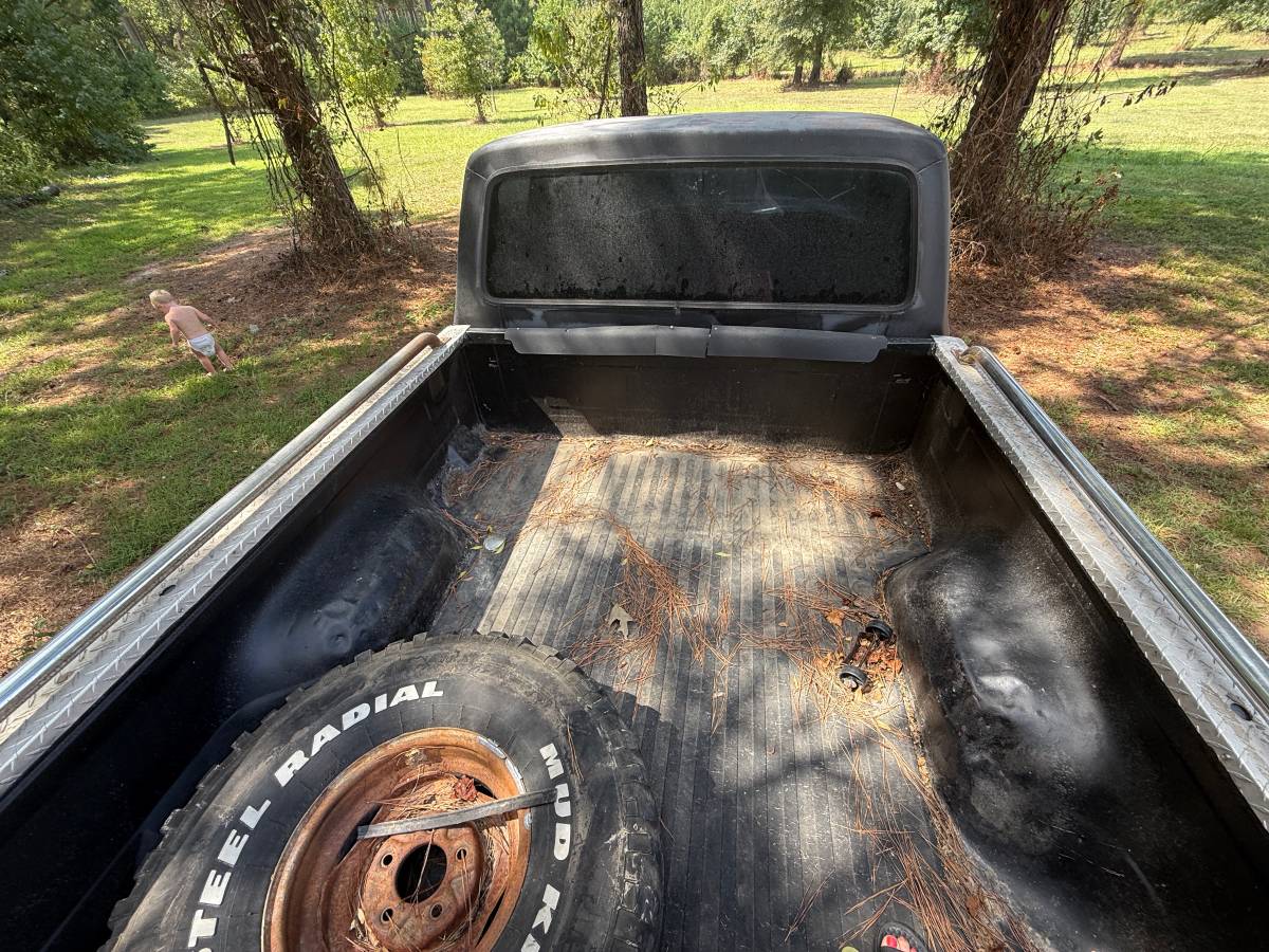 Ford-f-150-1979-black-5