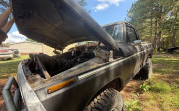Ford-f-150-1979-black-8