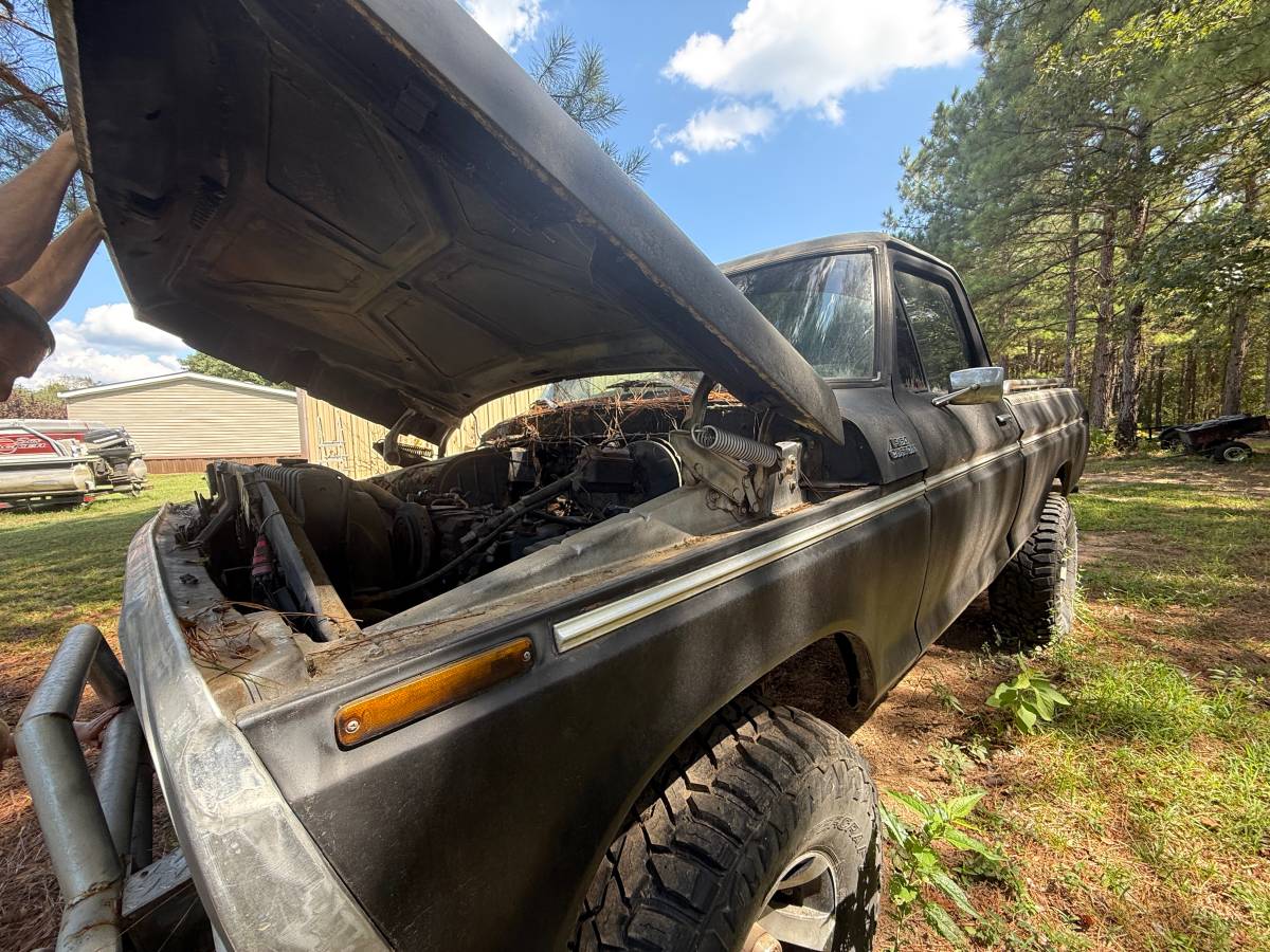 Ford-f-150-1979-black-8
