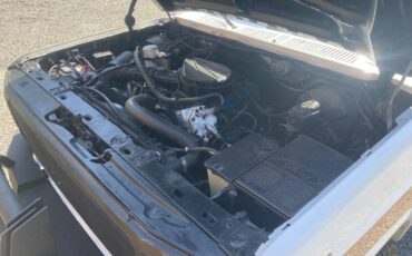 Ford-f-150-1980-19