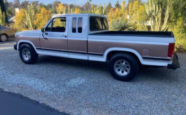 Ford-f-150-1980-2