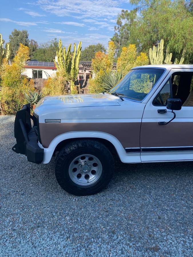 Ford-f-150-1980-4