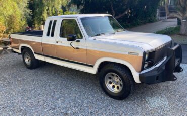 Ford-f-150-1980-8