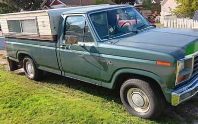 Ford f-150 1981