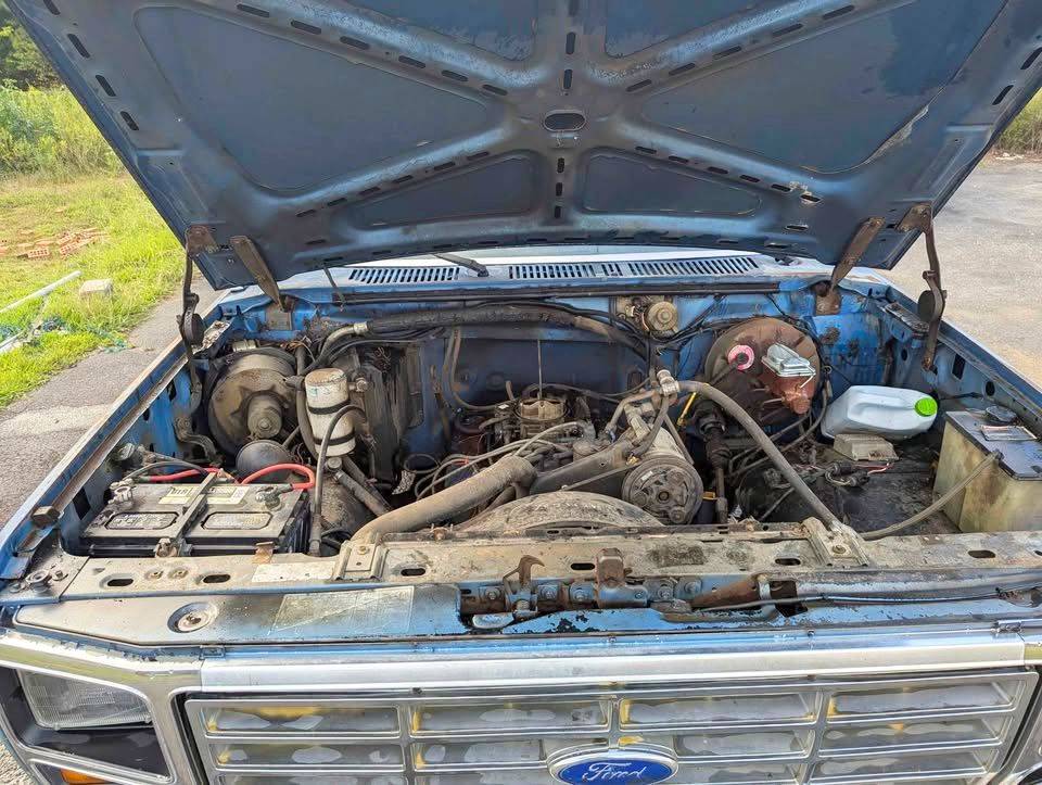 Ford-f-150-1984-blue-6