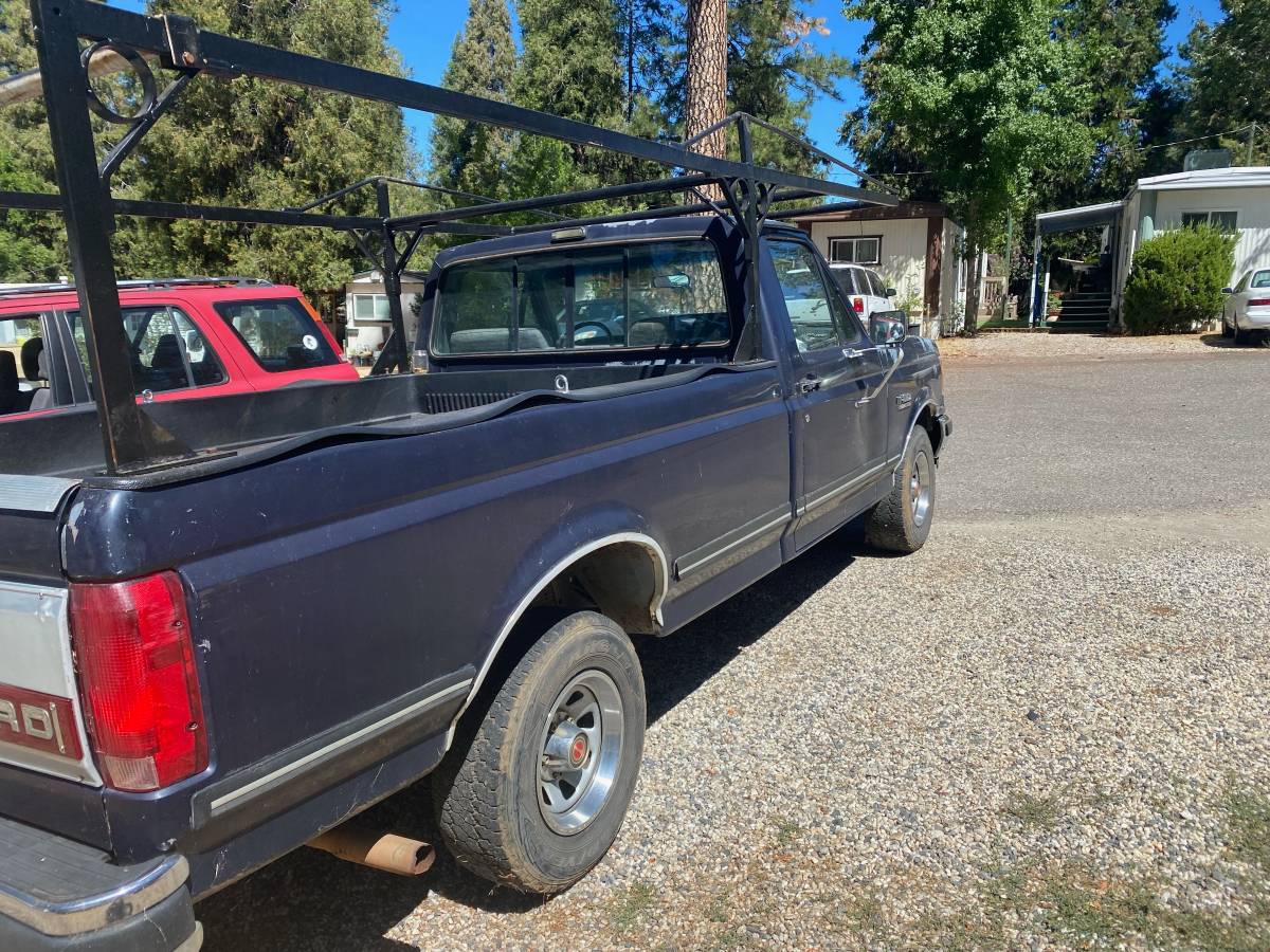 Ford-f-150-1990-blue-1