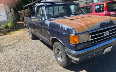 Ford-f-150-1990-blue-12