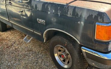 Ford-f-150-1990-blue-17