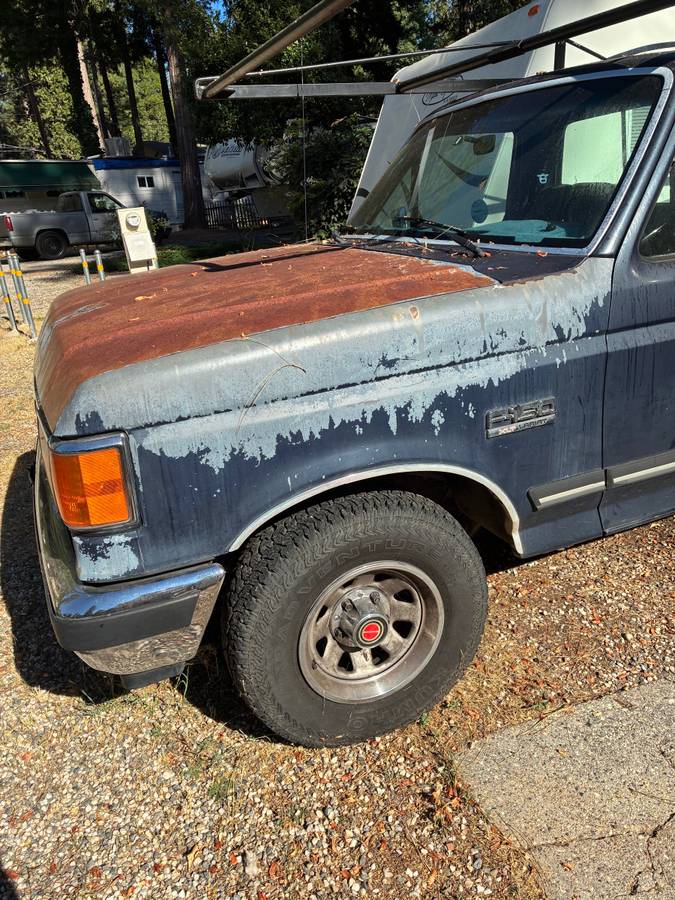 Ford-f-150-1990-blue-21