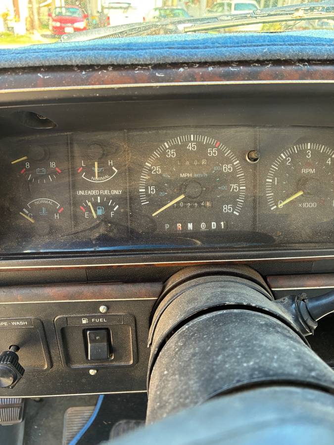 Ford-f-150-1990-blue-24