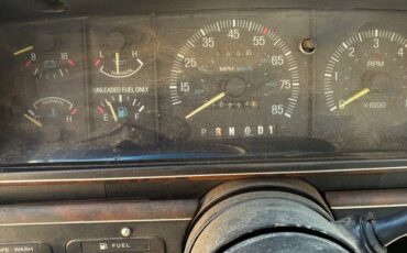 Ford-f-150-1990-blue-28