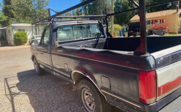 Ford-f-150-1990-blue-3