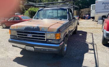 Ford-f-150-1990-blue-4