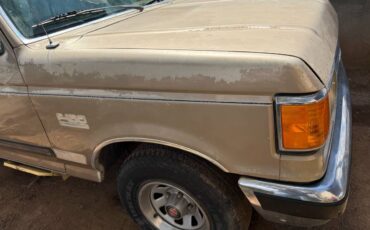 Ford-f-150-1990-brown-10