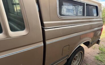 Ford-f-150-1990-brown-11