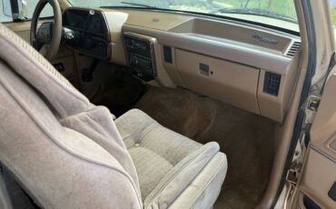 Ford-f-150-1990-brown-3