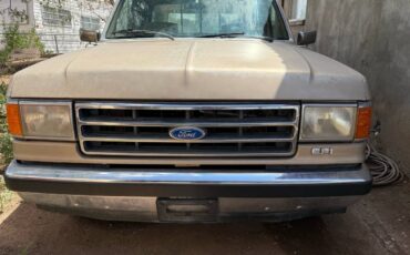 Ford-f-150-1990-brown