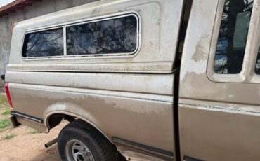 Ford-f-150-1990-brown-8