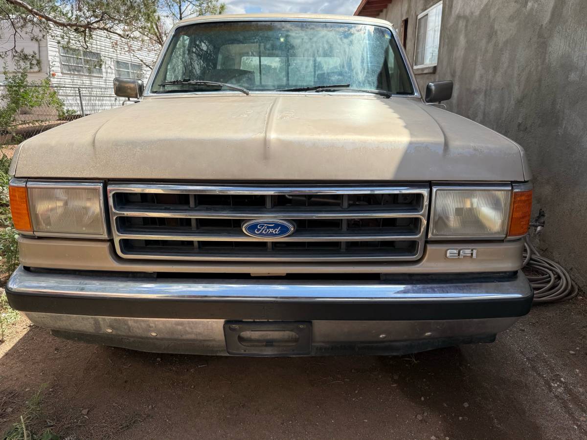Ford-f-150-1990-brown