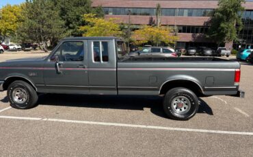 Ford-f-150-1990-grey-1
