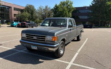Ford-f-150-1990-grey