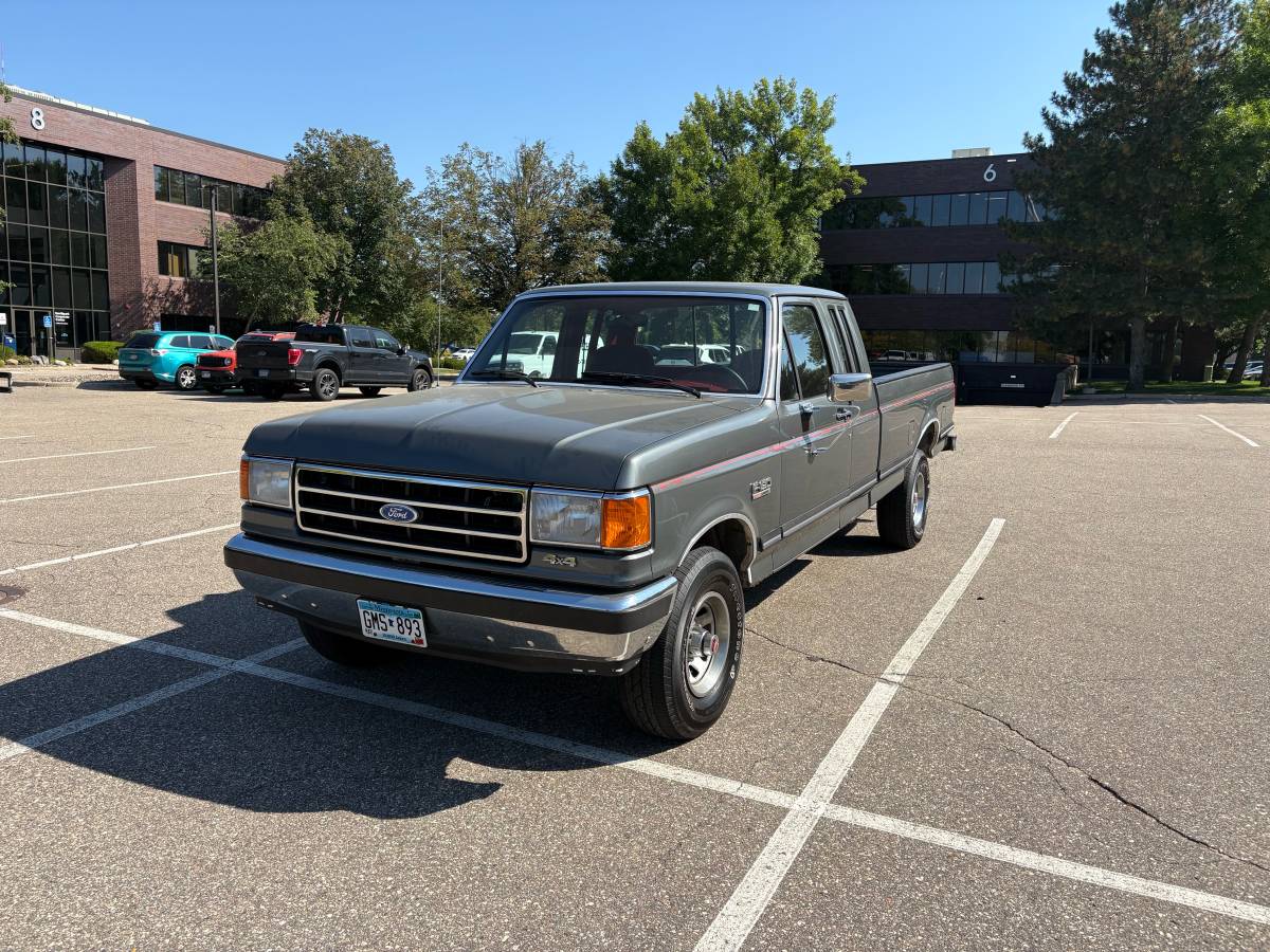 Ford-f-150-1990-grey