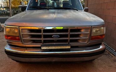 Ford-f-150-1992-grey-2