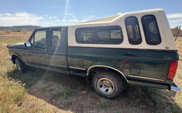 Ford-f-150-1993-blue-1