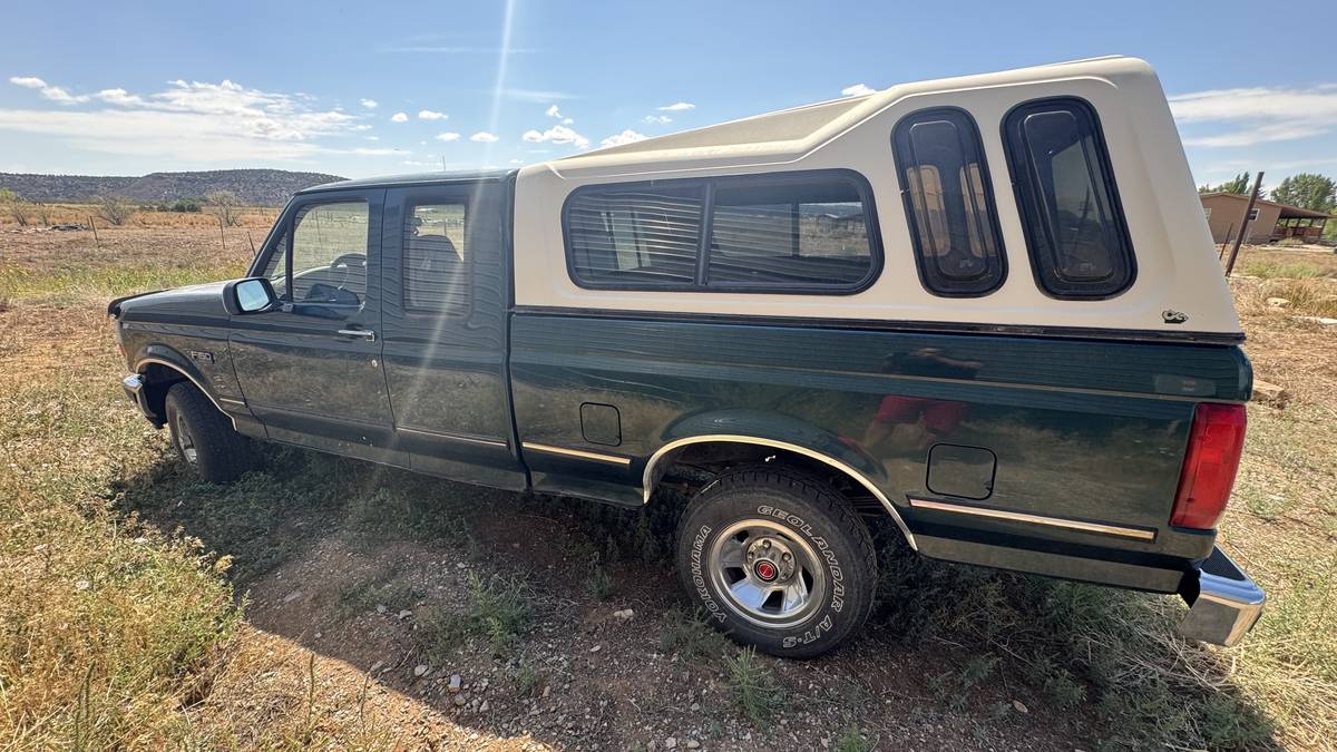 Ford-f-150-1993-blue-1