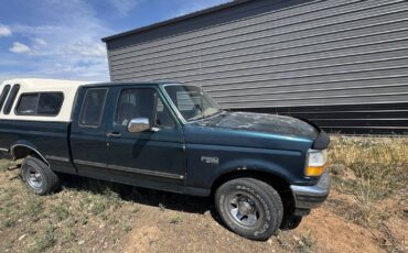 Ford-f-150-1993-blue