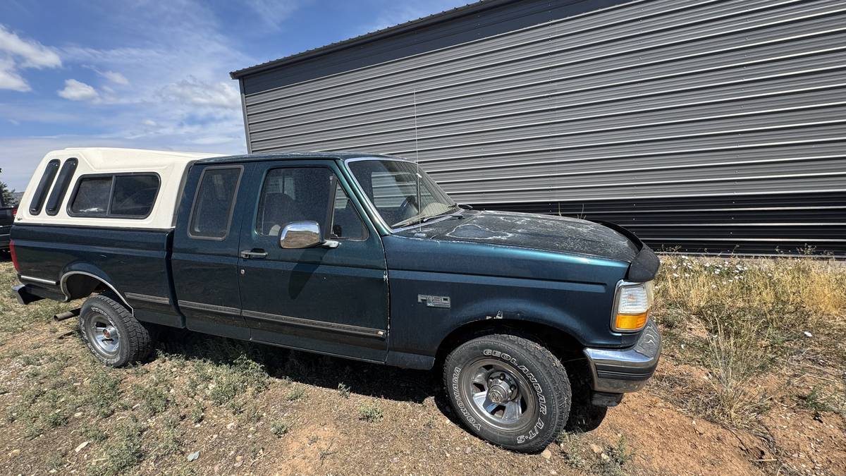 Ford-f-150-1993-blue