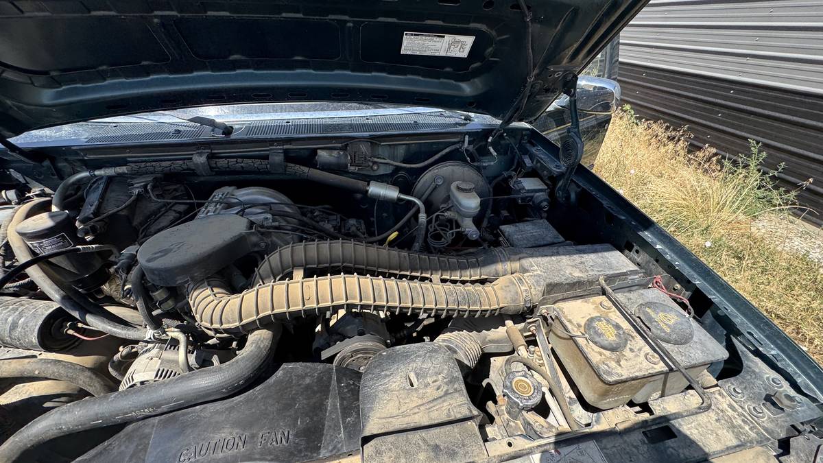 Ford-f-150-1993-blue-14
